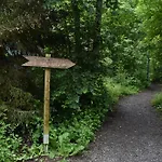 Forest Üdülőpark
