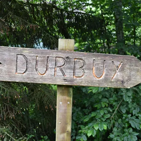 Forest Durbuy
