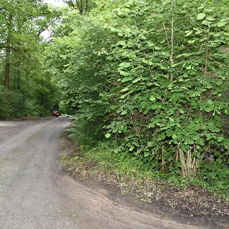 Kompleks wypoczynkowy Forest