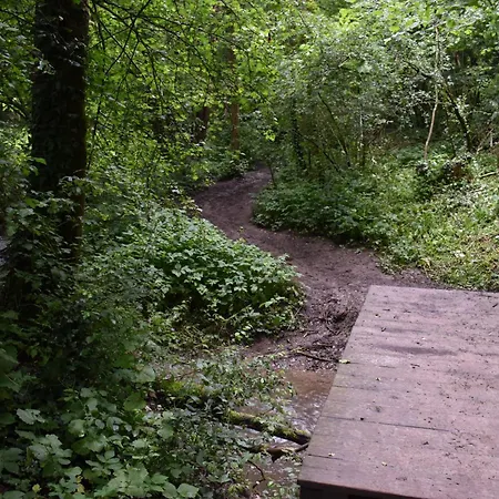 Holiday park Forest *