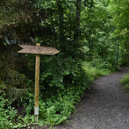 Forest Kompleks wypoczynkowy