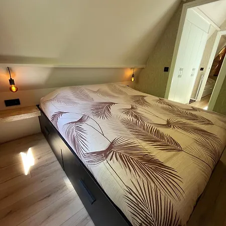 Kompleks wypoczynkowy Forest *