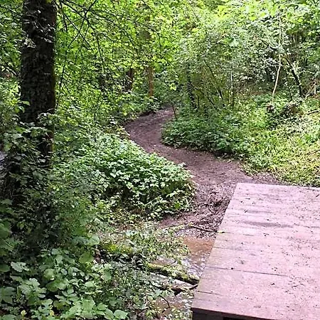 Forest База отдыха