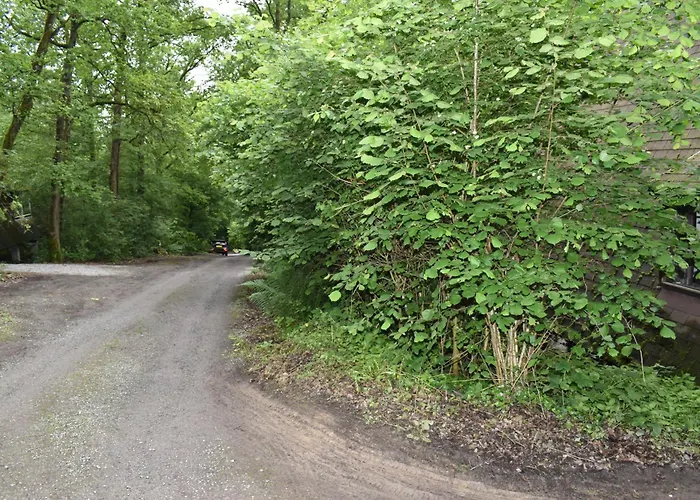 홀리데이파크 Forest