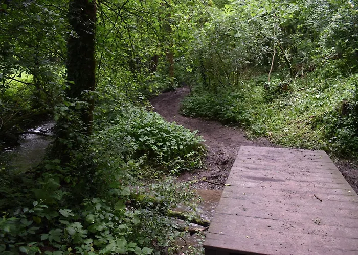 홀리데이파크 Forest *