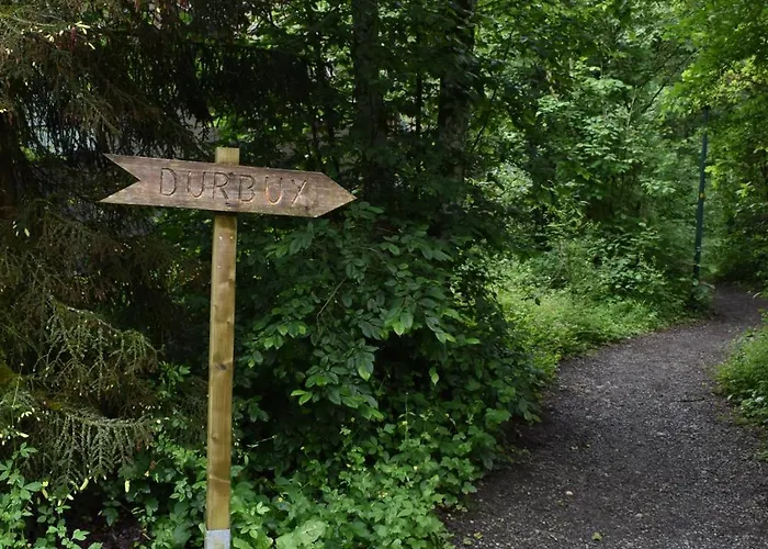 Forest 홀리데이파크